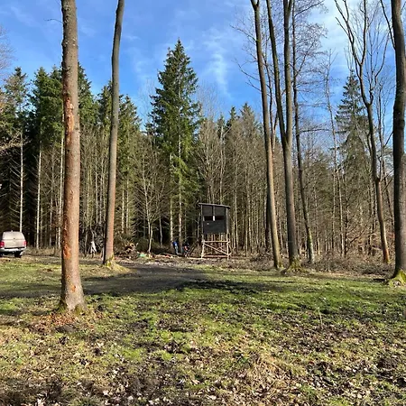 Glamping S Termovizi V Srdci Krivoklatskych Lesu Luxury tent Svata